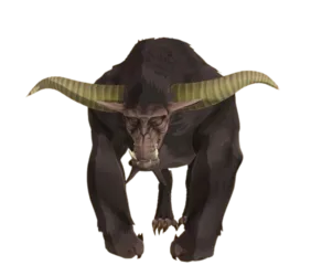 Rajang